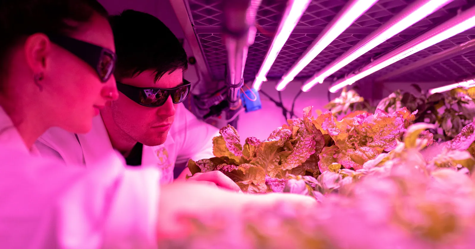 Agri-tech