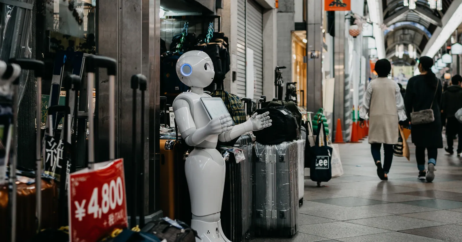 The Evolution of Society and the Role of Robotics