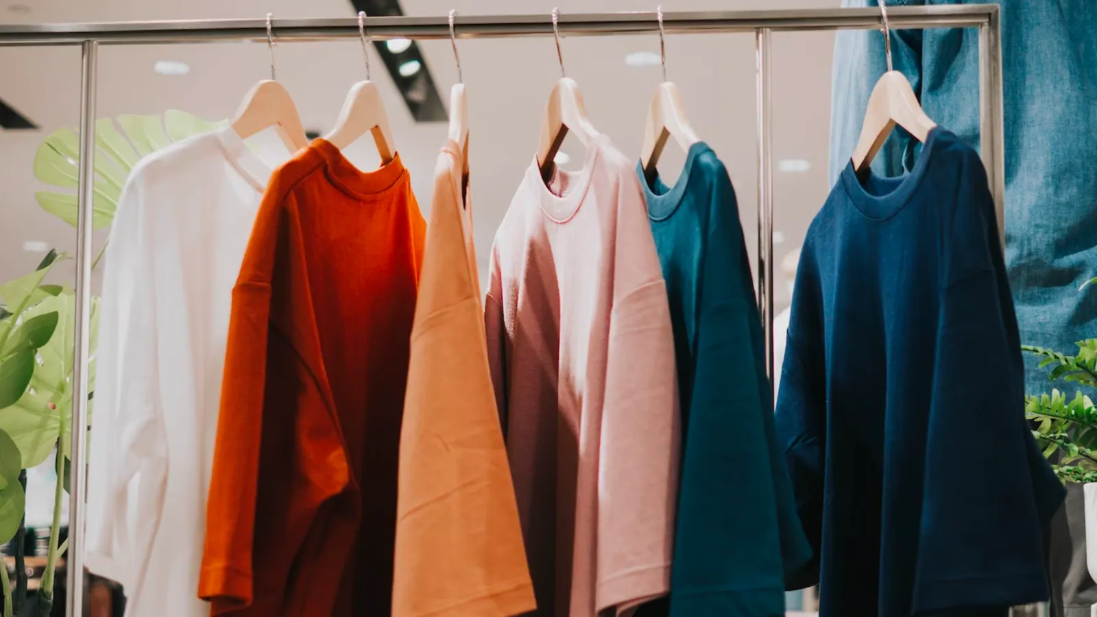 Uniqlo Clothes